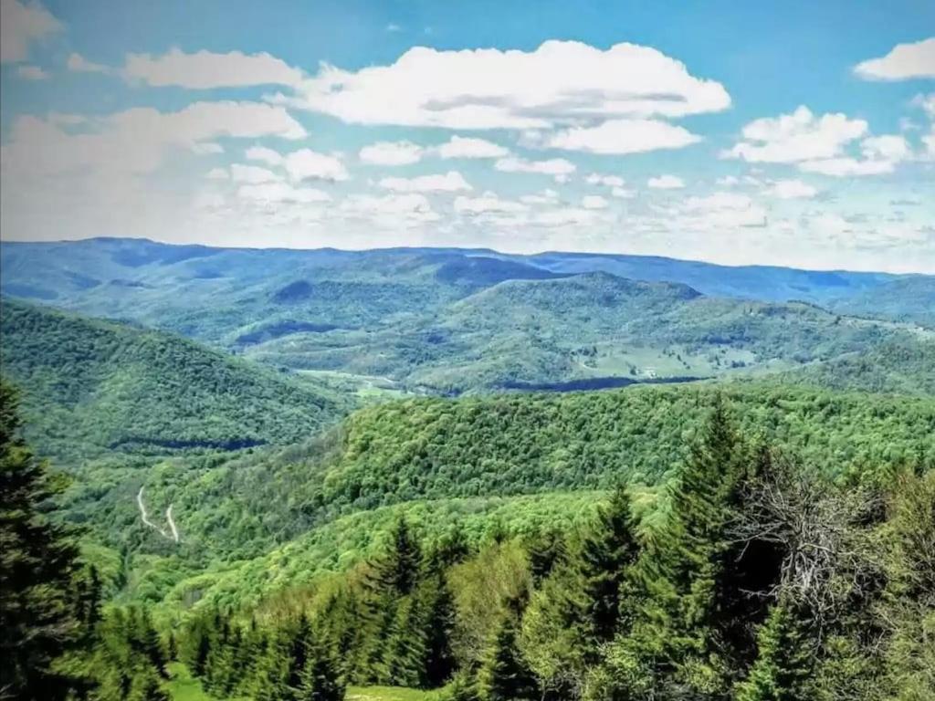 Enjoy The Long Range View, Ski In N Out Top Of The Mountain Condo Snowshoe Esterno foto